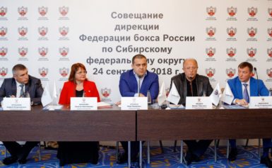 Михаил Федяев назначен председателем Совета Дирекции Федерации бокса России в СФО